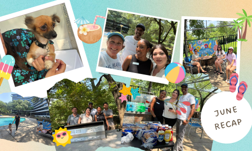 June Recap at Skyline at Kessler Cover Image