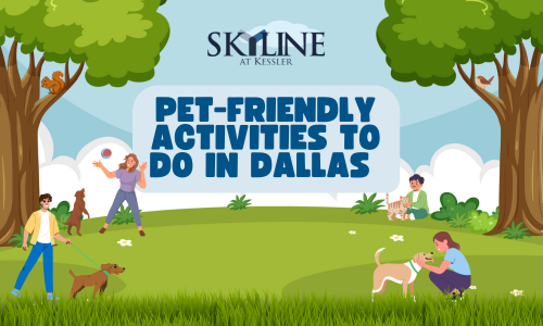 Fun Pet-Friendly Activities to Do in Dallas Cover Image Fun Pet-Friendly Activities to Do in Dallas Cover Image