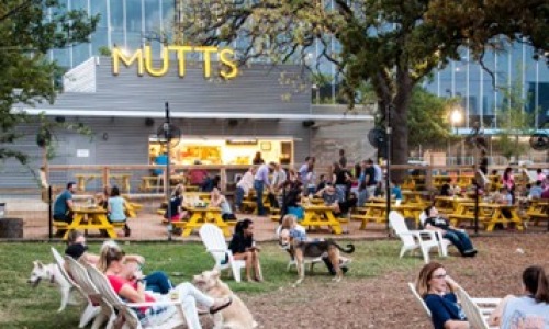 Dog park with bar in background