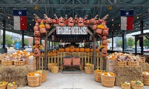 Farmers market with pumpkins Farmers market with pumpkins