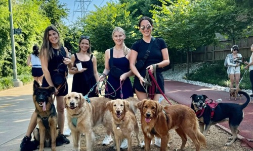 Four women with dogs walking