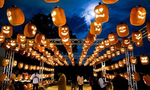 Pumpkin Night at Howell Farms Cover Image Pumpkin Night at Howell Farms Cover Image