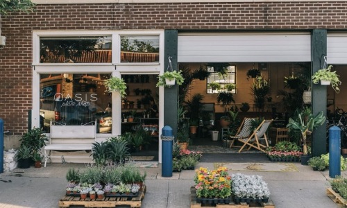exterior of retail shop showing lots of plant options